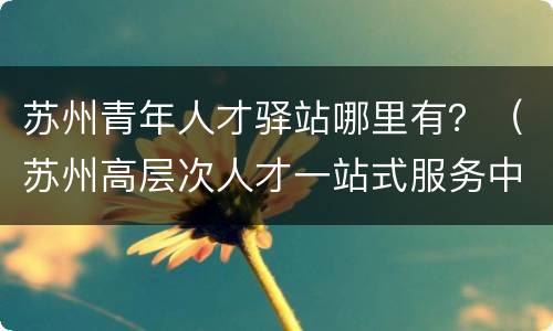 苏州青年人才驿站哪里有？（苏州高层次人才一站式服务中心）