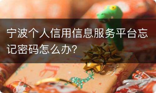 宁波个人信用信息服务平台忘记密码怎么办？