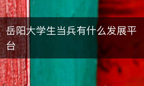 岳阳大学生当兵有什么发展平台