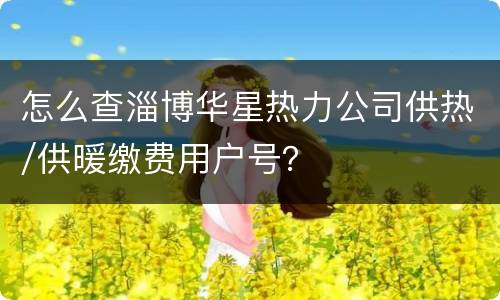 怎么查淄博华星热力公司供热/供暖缴费用户号？
