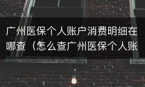 广州医保个人账户消费明细在哪查（怎么查广州医保个人账户明细查询）