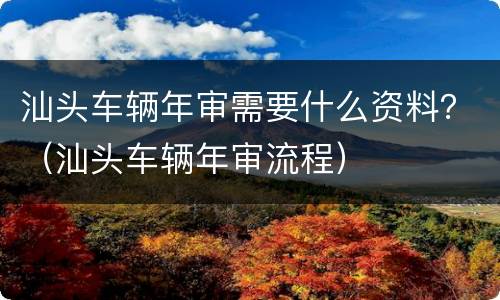 汕头车辆年审需要什么资料？（汕头车辆年审流程）