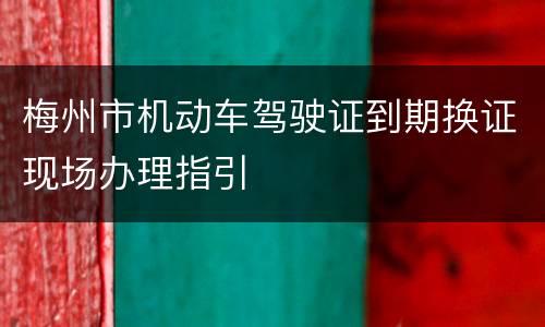 梅州市机动车驾驶证到期换证现场办理指引