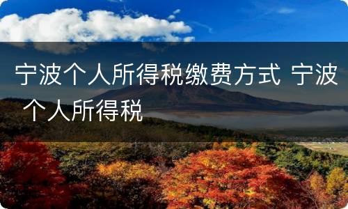 宁波个人所得税缴费方式 宁波 个人所得税
