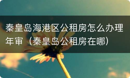 秦皇岛海港区公租房怎么办理年审（秦皇岛公租房在哪）