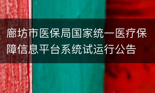 廊坊市医保局国家统一医疗保障信息平台系统试运行公告
