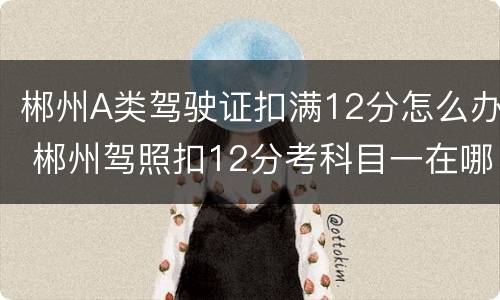 郴州A类驾驶证扣满12分怎么办 郴州驾照扣12分考科目一在哪里考
