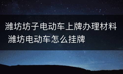 潍坊坊子电动车上牌办理材料 潍坊电动车怎么挂牌
