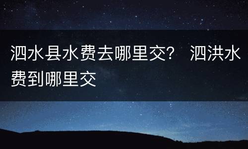 泗水县水费去哪里交？ 泗洪水费到哪里交