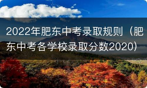2022年肥东中考录取规则（肥东中考各学校录取分数2020）
