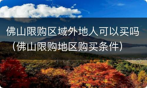 佛山限购区域外地人可以买吗（佛山限购地区购买条件）