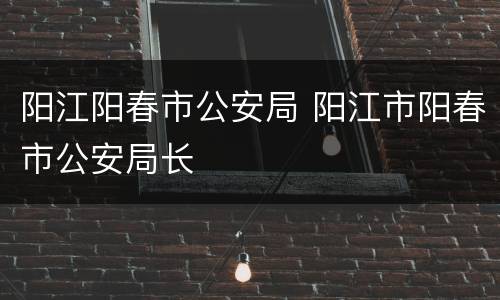 阳江阳春市公安局 阳江市阳春市公安局长