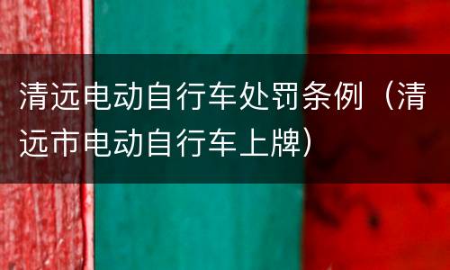 清远电动自行车处罚条例（清远市电动自行车上牌）