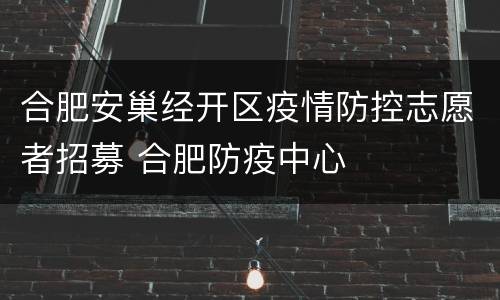 合肥安巢经开区疫情防控志愿者招募 合肥防疫中心