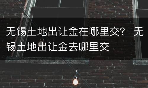 无锡土地出让金在哪里交？ 无锡土地出让金去哪里交