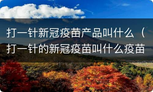 打一针新冠疫苗产品叫什么（打一针的新冠疫苗叫什么疫苗）