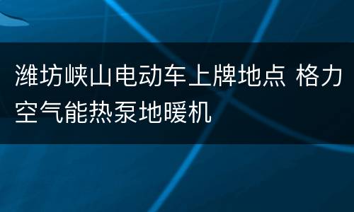 潍坊峡山电动车上牌地点 格力空气能热泵地暖机