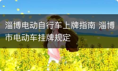 淄博电动自行车上牌指南 淄博市电动车挂牌规定