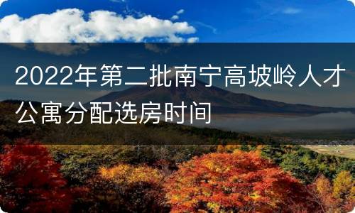 2022年第二批南宁高坡岭人才公寓分配选房时间