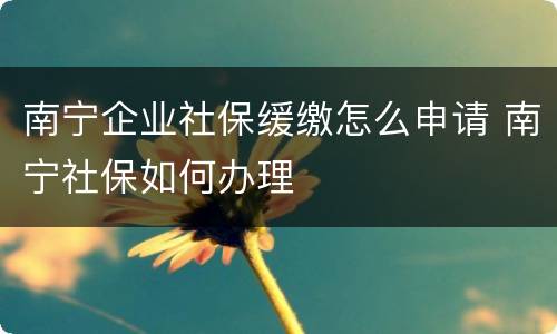 南宁企业社保缓缴怎么申请 南宁社保如何办理
