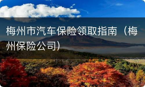 梅州市汽车保险领取指南（梅州保险公司）