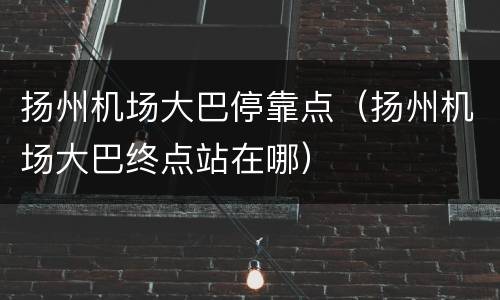 扬州机场大巴停靠点（扬州机场大巴终点站在哪）