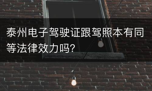 泰州电子驾驶证跟驾照本有同等法律效力吗？