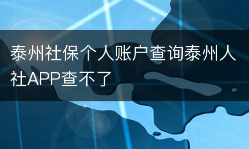 泰州社保个人账户查询泰州人社APP查不了
