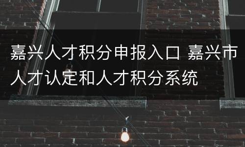 嘉兴人才积分申报入口 嘉兴市人才认定和人才积分系统