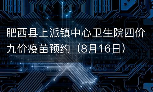 肥西县上派镇中心卫生院四价九价疫苗预约（8月16日）