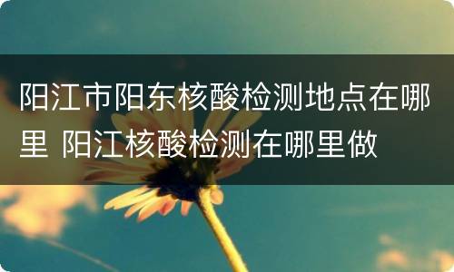 阳江市阳东核酸检测地点在哪里 阳江核酸检测在哪里做