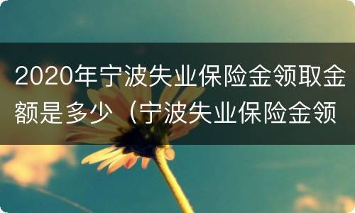 2020年宁波失业保险金领取金额是多少（宁波失业保险金领取条件及标准2020）