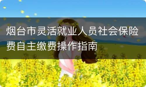 烟台市灵活就业人员社会保险费自主缴费操作指南