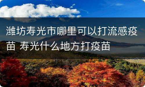 潍坊寿光市哪里可以打流感疫苗 寿光什么地方打疫苗
