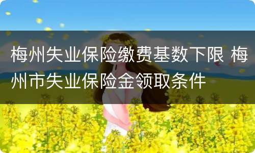 梅州失业保险缴费基数下限 梅州市失业保险金领取条件