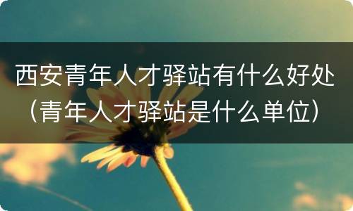 西安青年人才驿站有什么好处（青年人才驿站是什么单位）