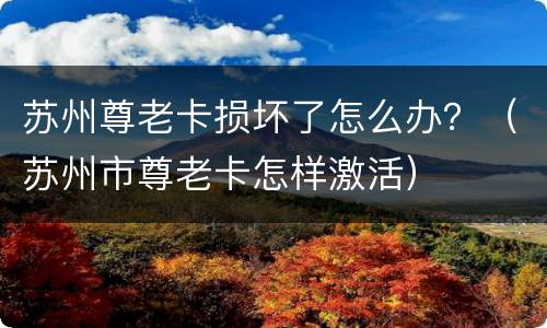 苏州尊老卡损坏了怎么办？（苏州市尊老卡怎样激活）