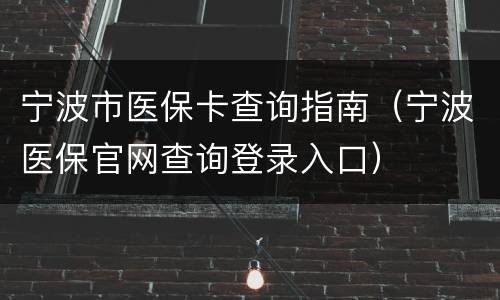 宁波市医保卡查询指南（宁波医保官网查询登录入口）