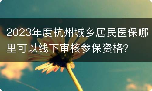 2023年度杭州城乡居民医保哪里可以线下审核参保资格？