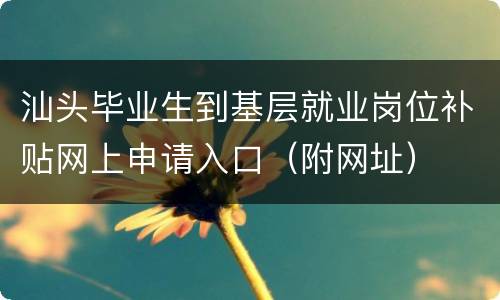 汕头毕业生到基层就业岗位补贴网上申请入口（附网址）