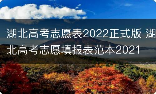 湖北高考志愿表2022正式版 湖北高考志愿填报表范本2021