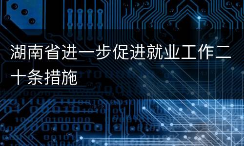 湖南省进一步促进就业工作二十条措施