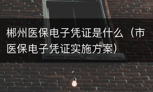 郴州医保电子凭证是什么（市医保电子凭证实施方案）