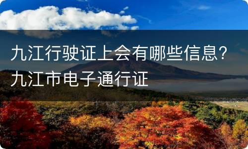 九江行驶证上会有哪些信息? 九江市电子通行证