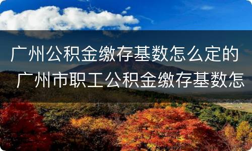广州公积金缴存基数怎么定的 广州市职工公积金缴存基数怎样算