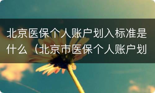 北京医保个人账户划入标准是什么（北京市医保个人账户划入标准）
