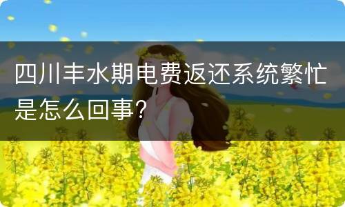 四川丰水期电费返还系统繁忙是怎么回事?