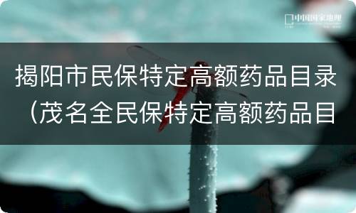 揭阳市民保特定高额药品目录（茂名全民保特定高额药品目录）