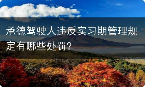 承德驾驶人违反实习期管理规定有哪些处罚？