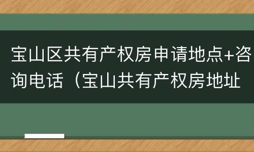 宝山区共有产权房申请地点+咨询电话（宝山共有产权房地址）